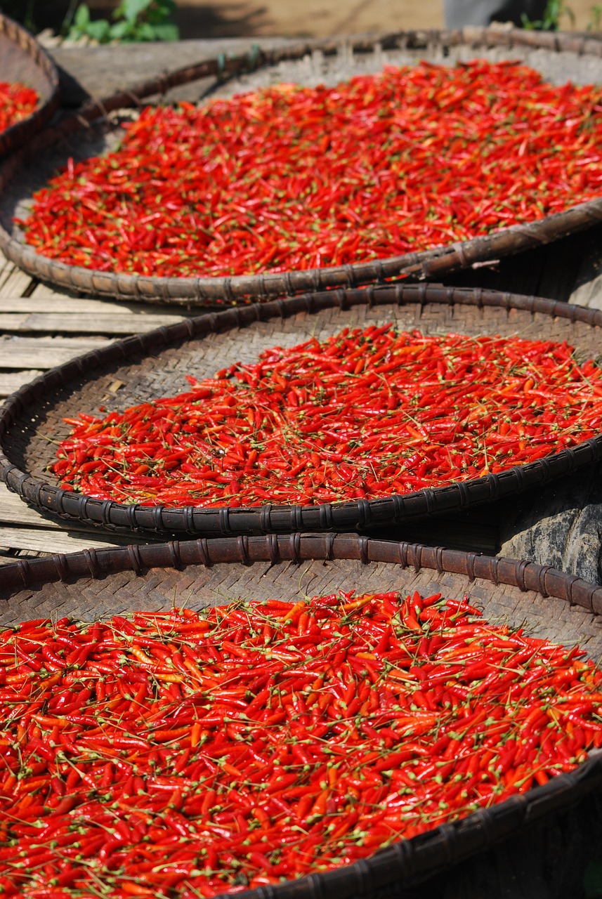fresh chilli, red, dried chilli, baskets, three, ingredients, hot chilli, spices, red and green
